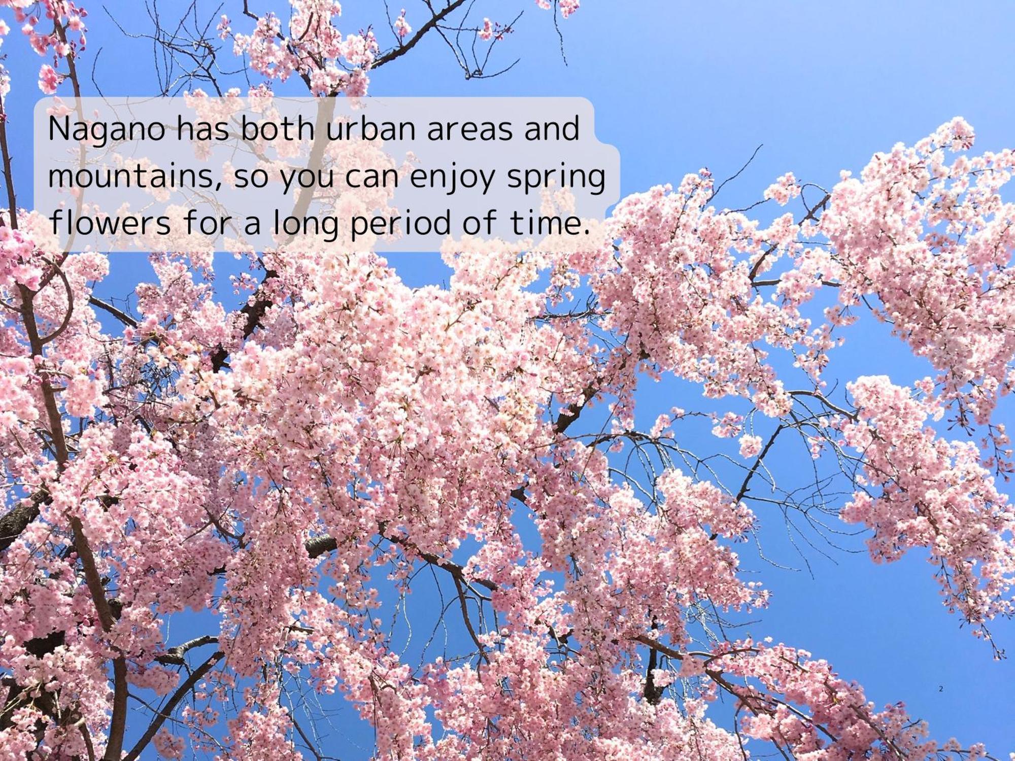 1166 Backpackers Pansiyon Nagano Dış mekan fotoğraf