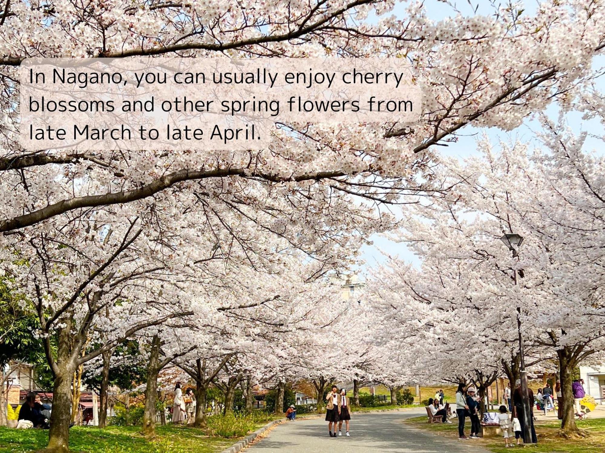 1166 Backpackers Pansiyon Nagano Dış mekan fotoğraf
